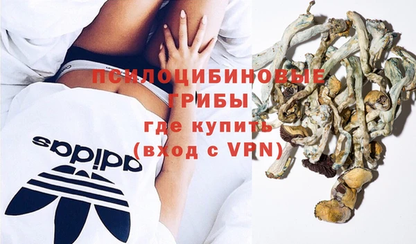 дживик Абаза