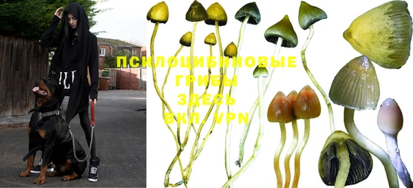 соль ск Воткинск