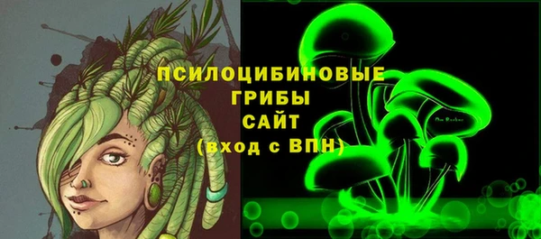 гашик Алексин