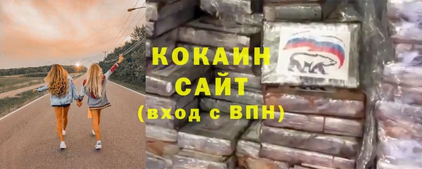гашик Алексин