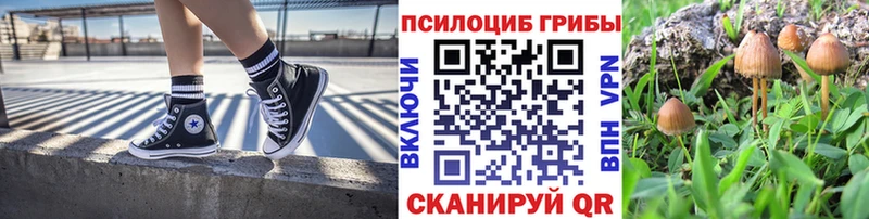 Псилоцибиновые грибы прущие грибы  Тутаев 