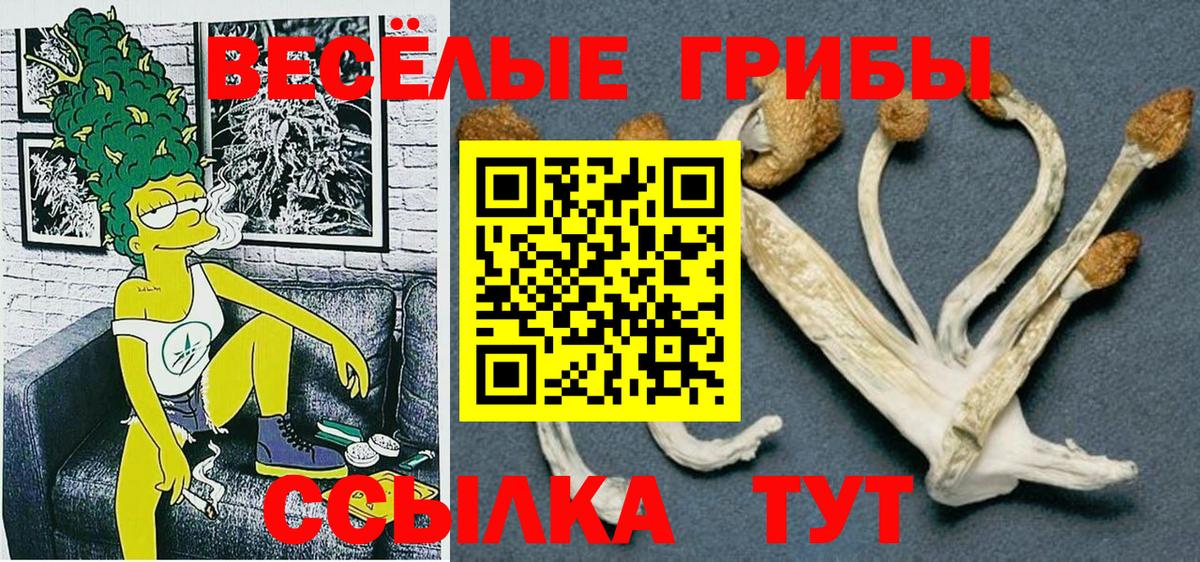 Галлюциногенные грибы мухоморы Тутаев